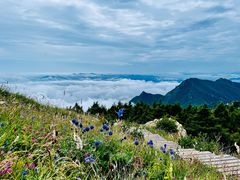 -白草畔自然风景区