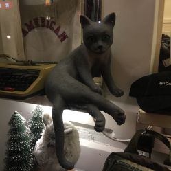 -藤野造型·专业烫染店