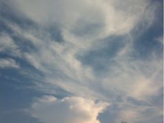 白云-广州市帽峰山景区