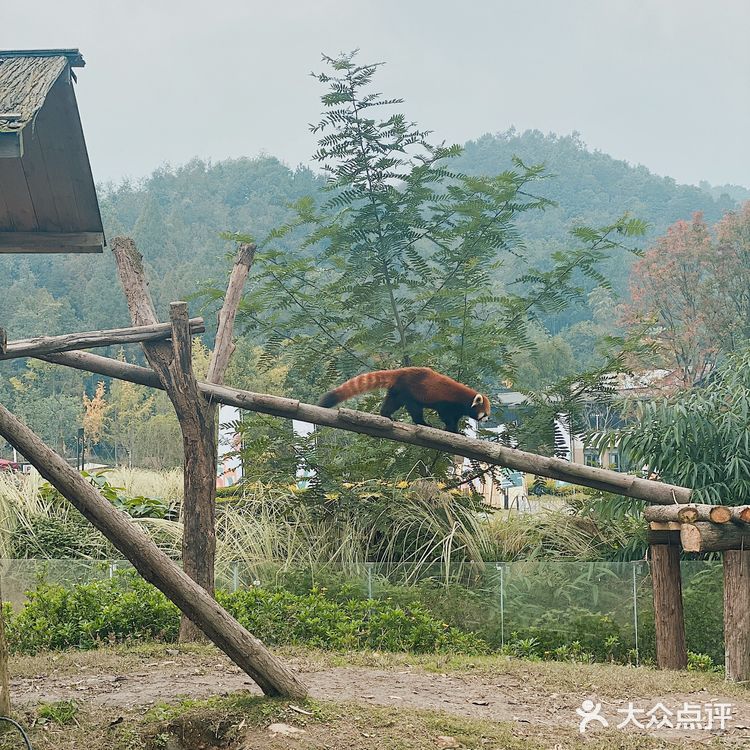山生荟，中餐为主，人均60元左右，味道还行