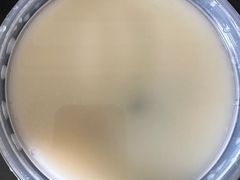 -京都饺子(双塔西街店)