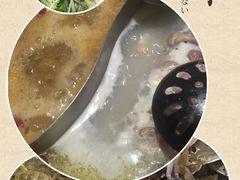 -蒙肥羊·酸汤潮牛·鲜牛肉火锅烤肉自助(岗顶店)