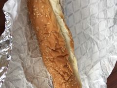 -金斯顿千岛群岛游轮