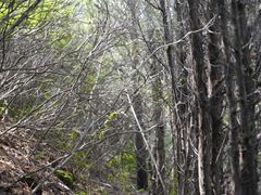 -云峰山自然风景区