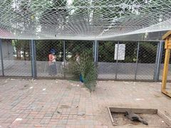 -长白岛森林公园