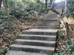 -深圳龙潭公园