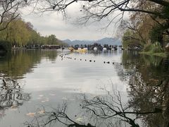-星巴克(西湖天地店)