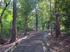 -火炉山森林公园