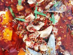 豆腐鱼-乡间豆腐鱼
