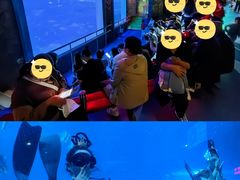 -太平洋海底世界