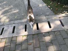 -苏州河梦清园环保主题公园