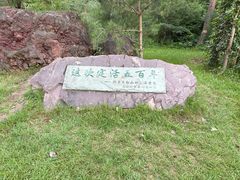 -美人松苑