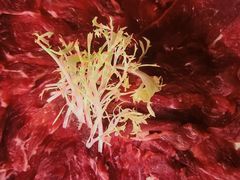 -大妙火锅·非物质文化遗产(东湖公园店)