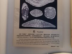 -辽宁古生物博物馆
