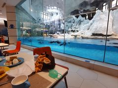 -帝企鹅自助餐厅•儿童岛•真企鹅(长隆企鹅酒店)