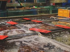 -湛江渔港·大排档(乐园路总店)