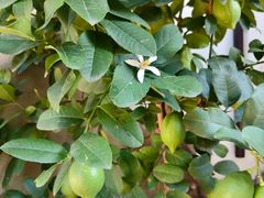 -青岛遇见米兰(八大关店)