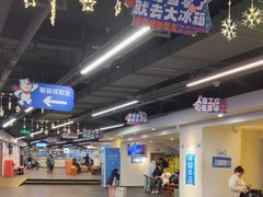 -世界之窗阿尔卑斯冰雪世界