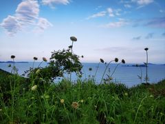 -温岭石塘海边