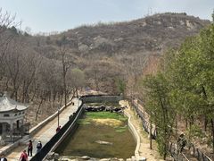 -白水寺森林公园