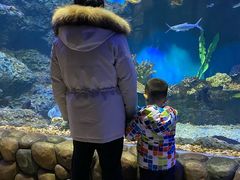 -华夏文旅海洋公园