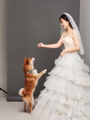 -格调婚纱摄影 (福州总店)