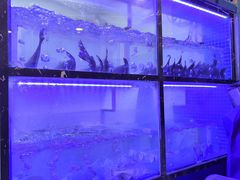 -云中鱼蒸汽石锅鱼(川沙百联店)