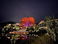 -雅达·阳羡溪山小镇中心