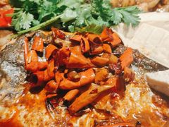 -探炉·香辣豆花烤鱼(雄峰城店)