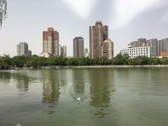 -迎泽公园