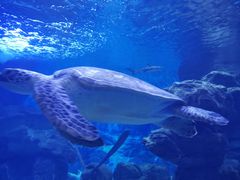 -多彩贵州城极地海洋世界