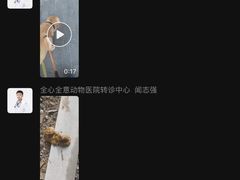 -全心全意动物诊疗中心医院(北苑店)