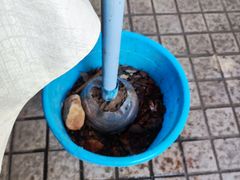 -合晋食府(广州合晋帝苑酒店)