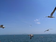 -东港音乐喷泉广场