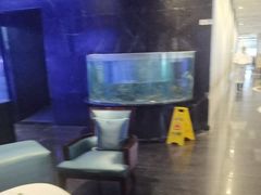 -王家渡火锅店(亦庄店)