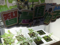 -艾克瑞特AI机器人·少儿编程·人工智能通识教育·STEAM教育(伟东校区)