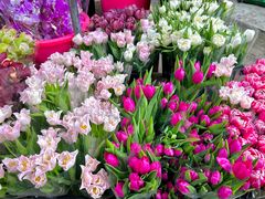 -循礼门鲜花花市(武汉循礼门店)