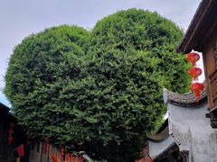 -百饼园(澳门路店)