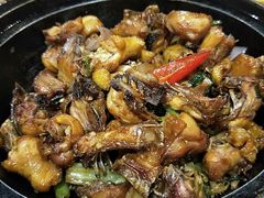 沙姜鸡-柴火农庄(东海路店)