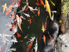 -西林禅寺