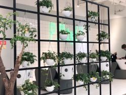 -P.STYLE派斯造型