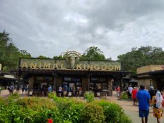 -奥兰多迪士尼动物王国乐园