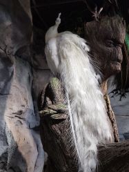 -Zoolung Zoolung动物主题公园(海信广场店)