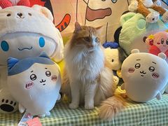 -氷冰凉刨冰甜品(北京路店)