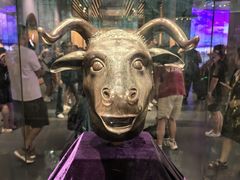 -广西壮族自治区博物馆