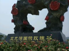 -亚龙湾国际玫瑰谷