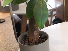 -万达广场(无锡滨湖店)