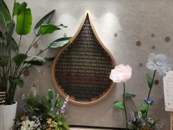 -dōTERRA多特瑞精油生活馆