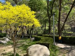 -龙庆峡风景区