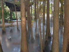 -东湖落雁景区